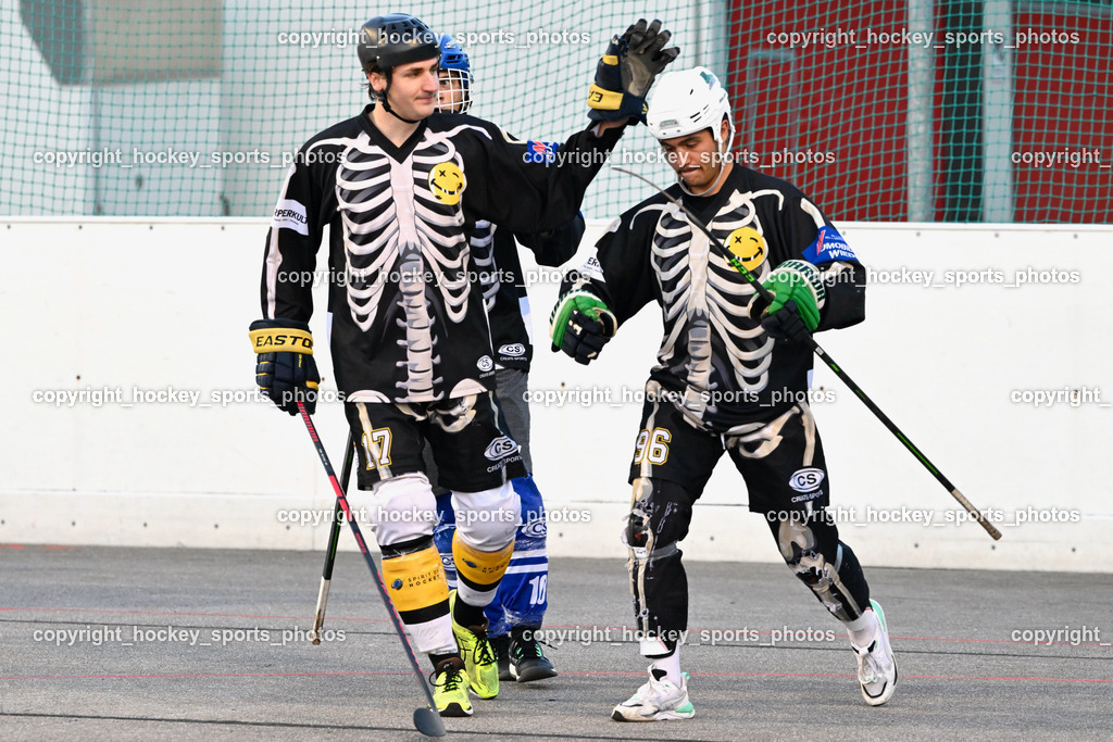 Team Zehenthof vs. HSC Eagles 7.7.2023 | #15 Wuntschek Dominik, #96 Granza Iacopo Jubel Team Zehenthof Mannschaft