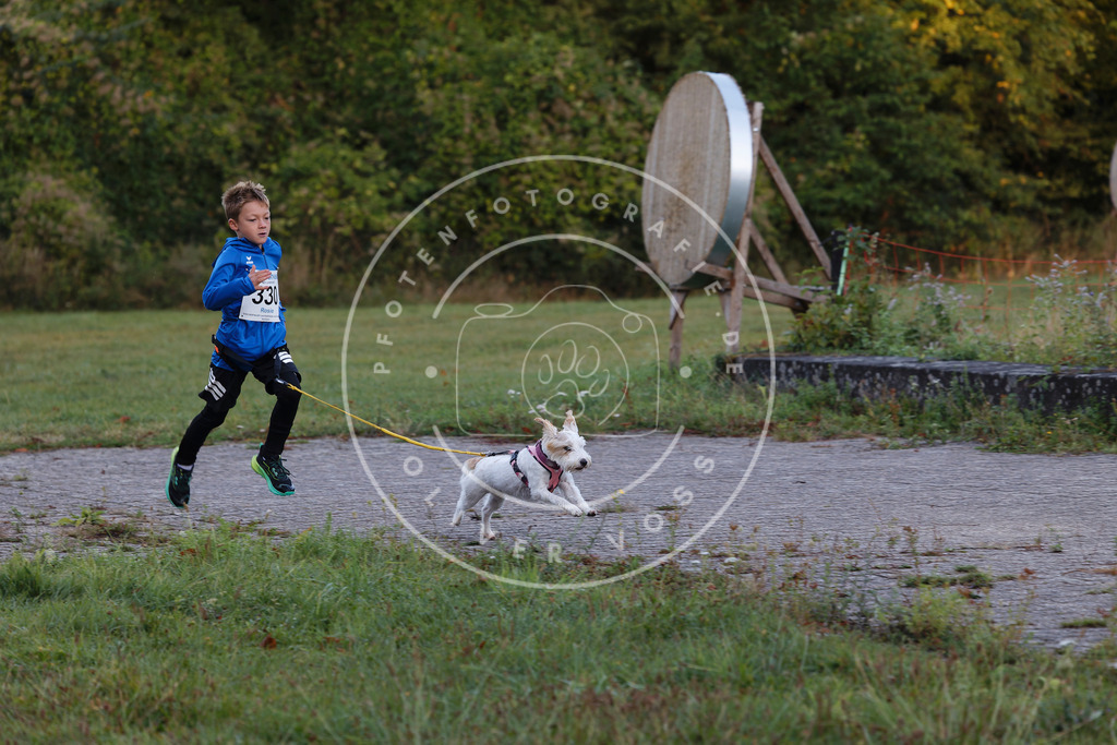 0L8A4175 | Hundefotografie, Tierfotograf, Pfotenfotografie, Fotoshooting Hund, Hunde Portrait, Hundesport, Hundeportraits, Heideshooting, Hunde, Sportfotograf, Hundefotograf, Turnierhundsport, THS,  - Realisiert mit Pictrs.com