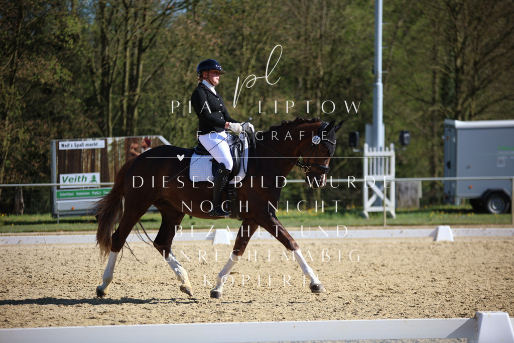 IMGT8836 | pl-fotografie