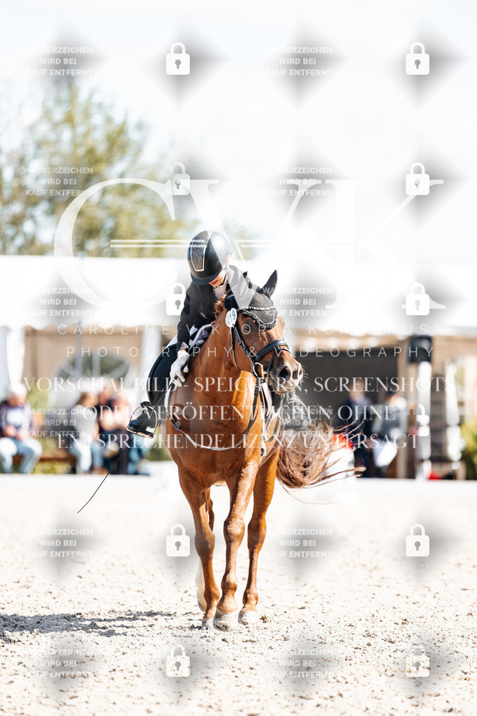 CK903133 | Turnierfotografie Pferdefotografie Trier Rheinland-Pfalz Pferdesport Reitsport Tierfotografie Sportfotografie Pferdevideo Pferdevideografie Equestrianvideography equestrianphotography  - Realisiert mit Pictrs.com