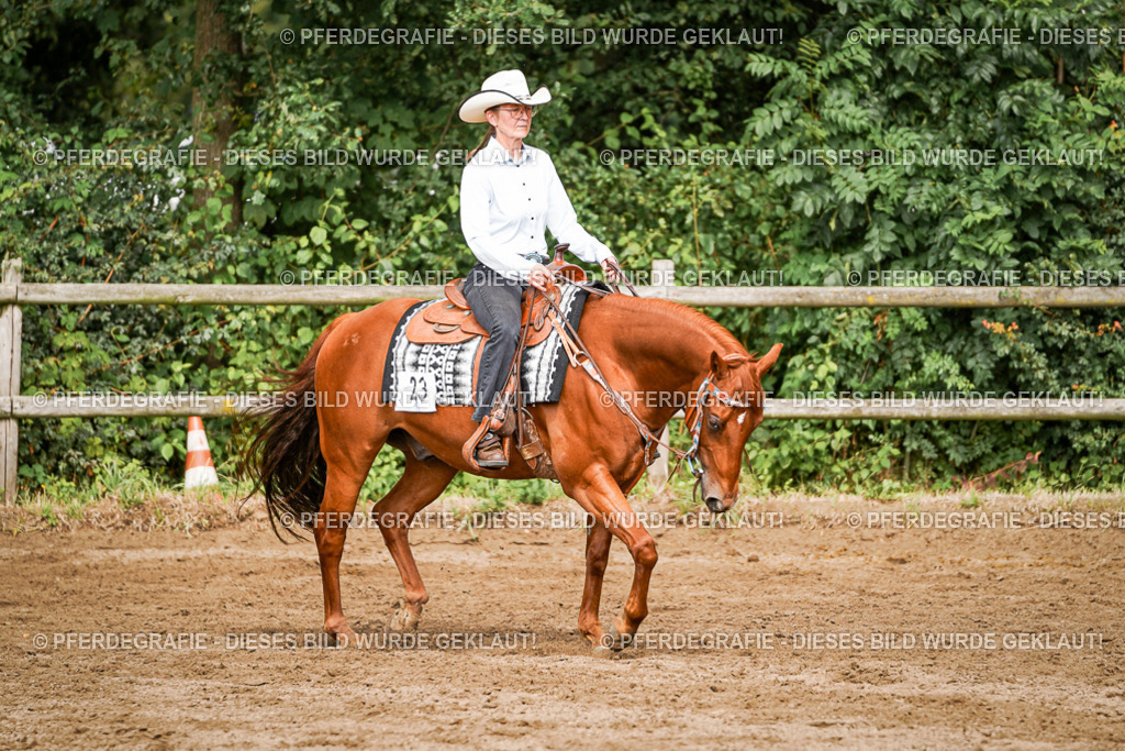 DSC09182 | Pferdegrafie