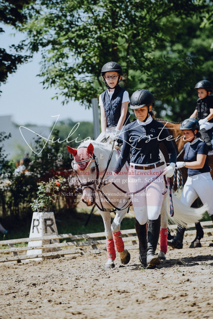 DSC_2552 | Pferde- und Turnierfotografie in Westsachsen. Pferdeportraits, Auftragszeichnungen und intuitive Kunst.