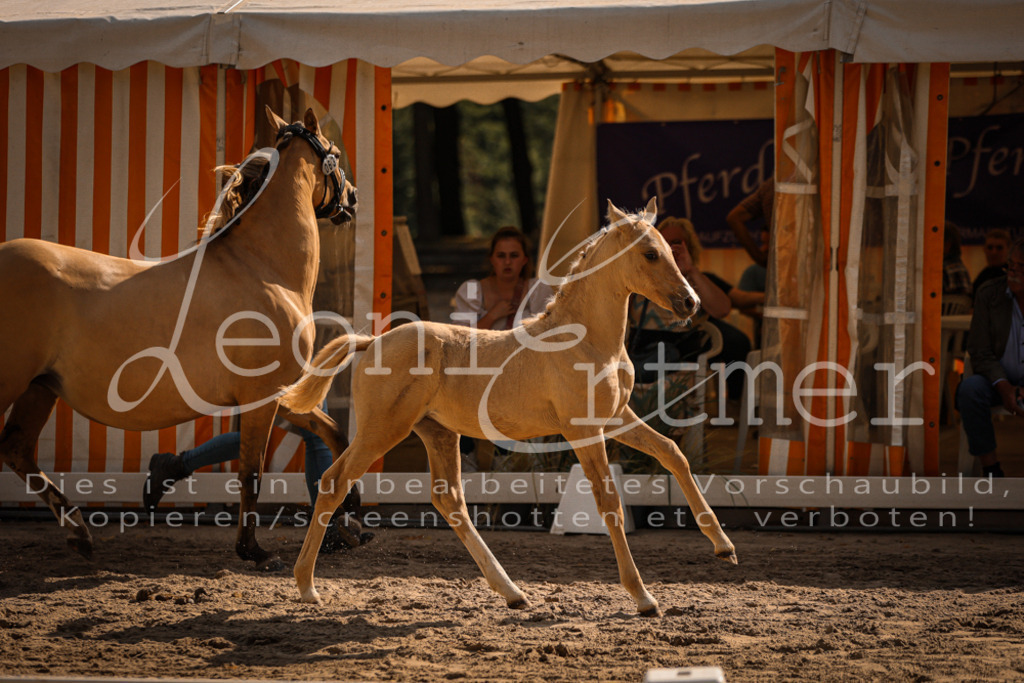 10.DoRP00195 | Leoni Ertmer Photography - Realisiert mit Pictrs.com