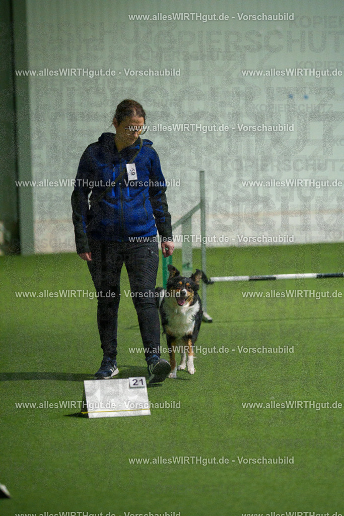 7R508207 | Professionelle Tierfotografie in Mönchengladbach von Daniel Wirth (allesWIRTHgut). Liebevolle & natürliche Bilder von Hunden & Katzen für unvergessliche Erinnerungen.