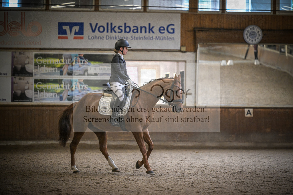 DOS_0334 | Entdecke hochwertige Reitturnierfotos von Foto Oger. Professionell, emotional und authentisch – jetzt Lieblingsmomente im Shop bestellen.Deutschlandweite Turnierfotografie. - Realisiert mit Pictrs.com