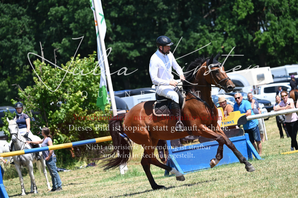 DSC_0590 | Pferde- und Turnierfotografie in Westsachsen. Pferdeportraits, Auftragszeichnungen und intuitive Kunst.