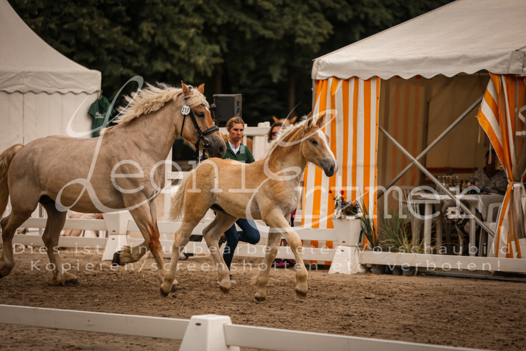 SaHF00059 | Leoni Ertmer Photography - Realisiert mit Pictrs.com