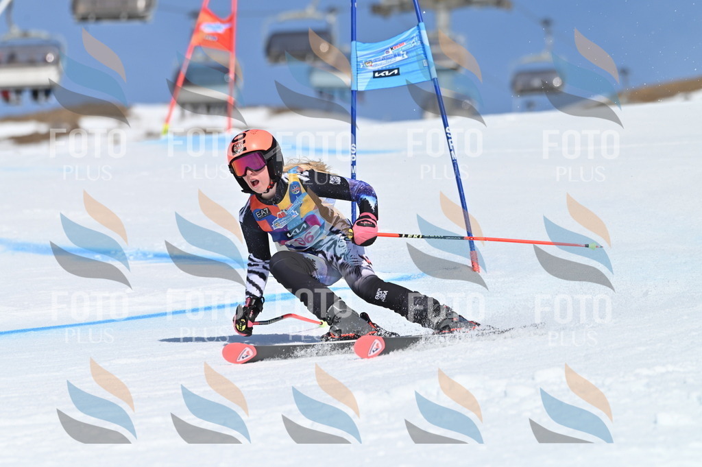 BGV_9380 | holidayphoto