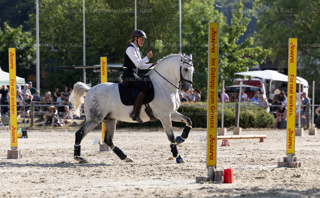 WS_SPEED_11_KerstinBernhardt-2 | working equitationturnier fotograf videograf stoibphotography marixx film working equitation deutschland reitsport turnierfotografie eventfotografie equestrian events