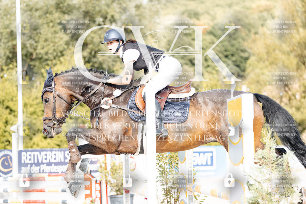 CK909394 | Turnierfotografie Pferdefotografie Trier Rheinland-Pfalz Pferdesport Reitsport Tierfotografie Sportfotografie Pferdevideo Pferdevideografie Equestrianvideography equestrianphotography  - Realisiert mit Pictrs.com