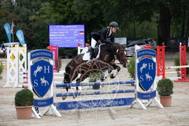 2B4A2263 | pixelfaenger - Realisiert mit Pictrs.com