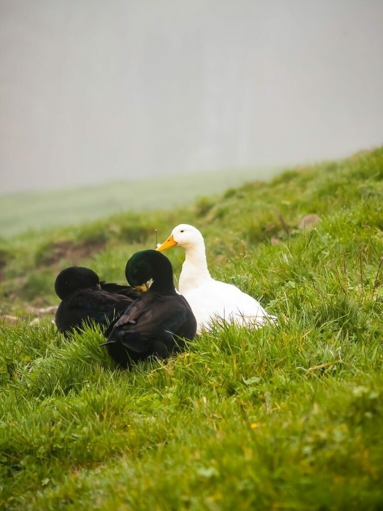 PSX_20221113_233502 | mtkfoto_ - Realisiert mit Pictrs.com