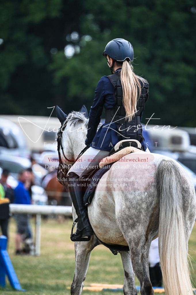 DSC_8162 | Pferde- und Turnierfotografie in Westsachsen. Pferdeportraits, Auftragszeichnungen und intuitive Kunst.