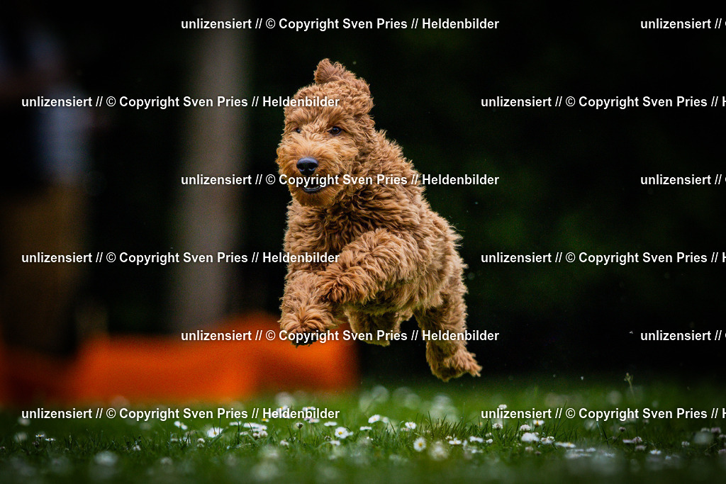 Sven Pries | 2025-05-29 - Pudelrennen KA-Durlach - Realisiert mit Pictrs.com