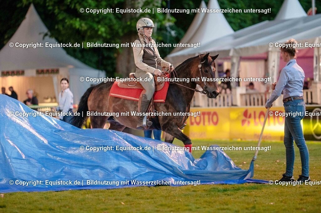 20250606_Lange-Pferdenacht_0990 | Foto: Thomas Hartig