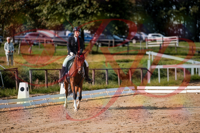 2026_10_03_Siefer-Hof_115504_Z63_30455301 | Professionelle Reitsport-, Turnier- und Eventfotografie von Robert Broda. Galerien mit ausgewählten und bearbeiteten Bildern direkt online ansehen und bestellen.