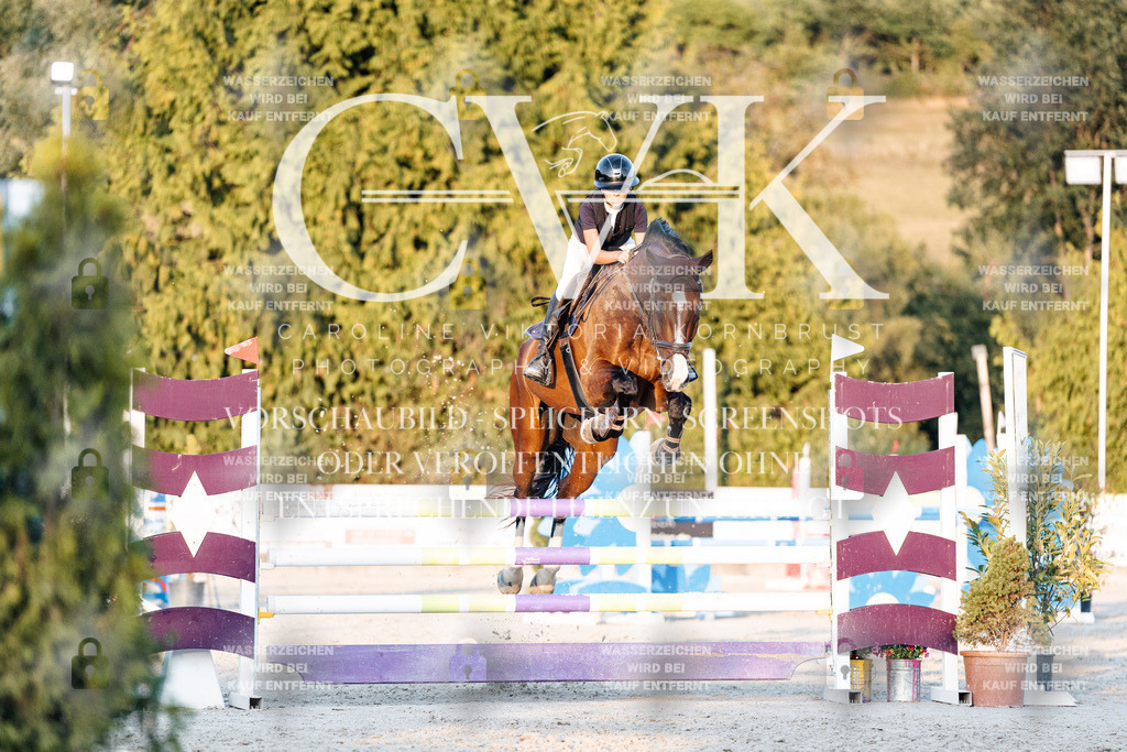 CK901113 | Turnierfotografie Pferdefotografie Trier Rheinland-Pfalz Pferdesport Reitsport Tierfotografie Sportfotografie Pferdevideo Pferdevideografie Equestrianvideography equestrianphotography  - Realisiert mit Pictrs.com