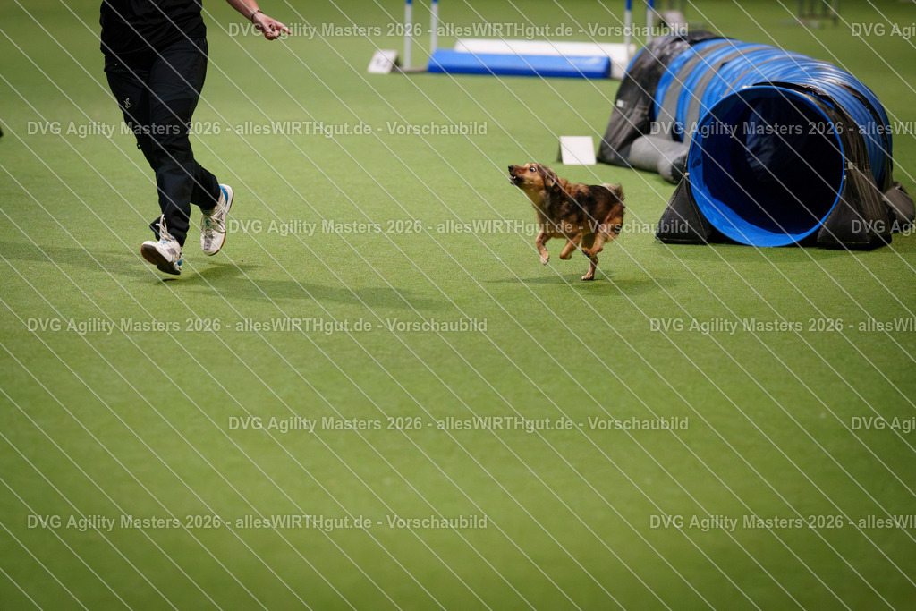allesWIRTHgut_Tierfotografie-DVG_Agility_Masters_2026-08_25-7R508095 | Professionelle Tierfotografie in Mönchengladbach von Daniel Wirth (allesWIRTHgut). Liebevolle & natürliche Bilder von Hunden & Katzen für unvergessliche Erinnerungen.