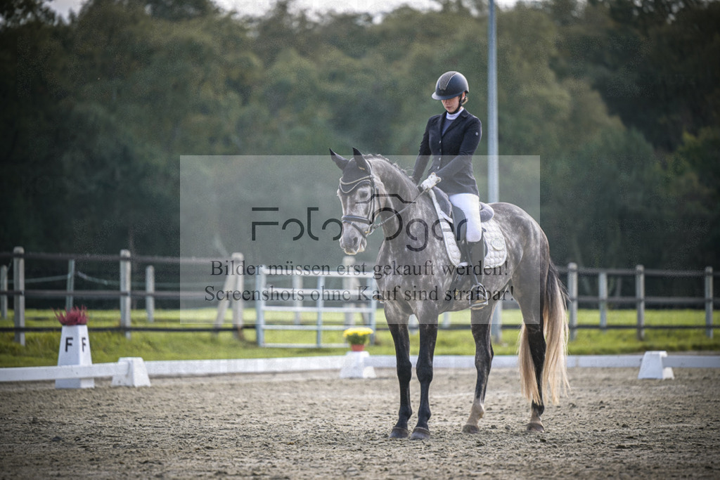 DOS_B182 | Entdecke hochwertige Reitturnierfotos von Foto Oger. Professionell, emotional und authentisch – jetzt Lieblingsmomente im Shop bestellen.Deutschlandweite Turnierfotografie. - Realisiert mit Pictrs.com