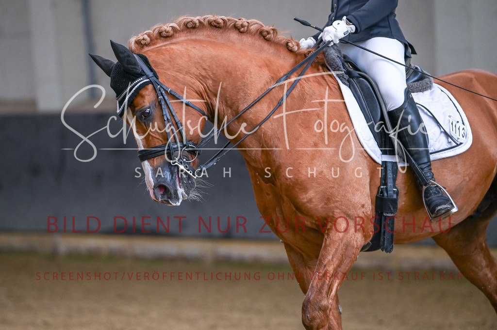 Schugtsche-Aluta25-56.Dressurprf.L1Kand.-29 | Schugtsche Fotografie - Realizzato con Pictrs.com