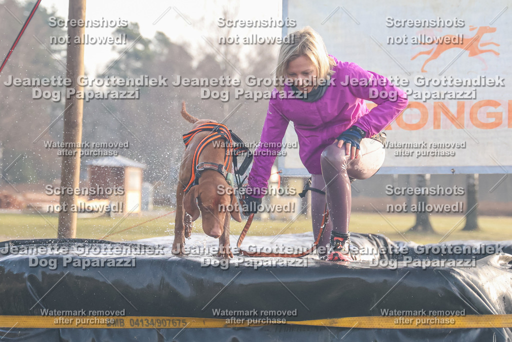 Dog Paparazzi - SD North Sa 830-900-184 | Dog Paparazzi Jeanette Grottendiek Fotografie & Videografie - Realisiert mit Pictrs.com
