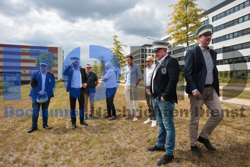 Eicheingrabung | Eicheingrabung - Realisiert mit Pictrs.com