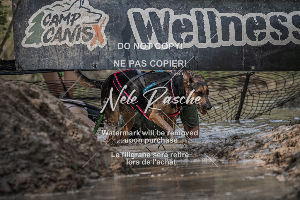 nelerasche_Hoope2026_So1530-1600_230 | nelerasche