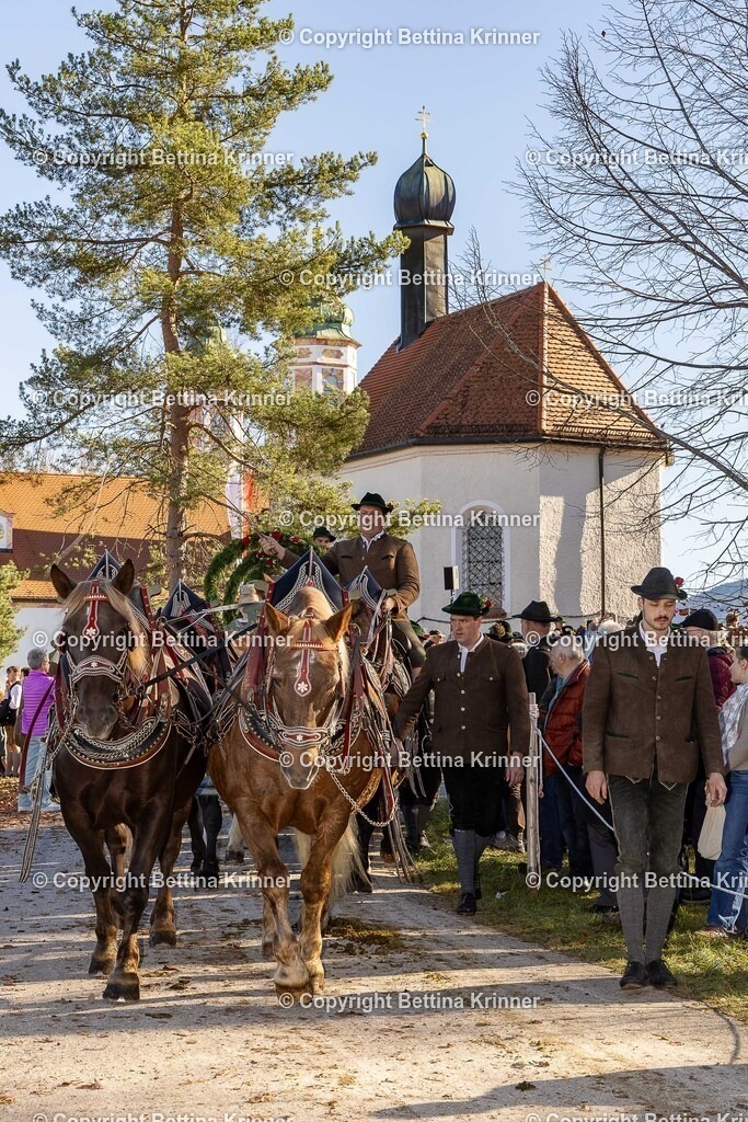 LBT25-1149 | foto-bettina-krinner - Realisiert mit Pictrs.com