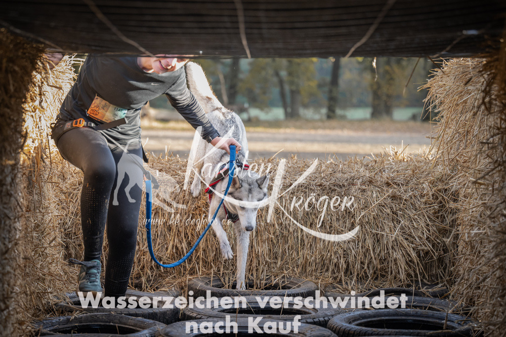 0953_ZZ95261 | kk-dogfotos