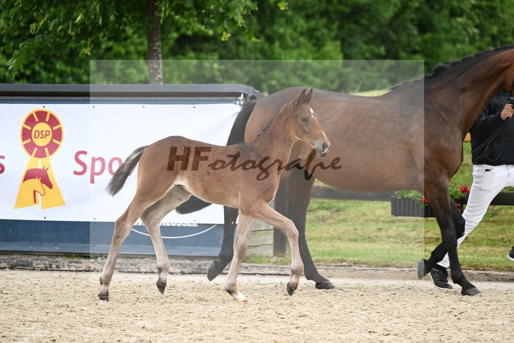 Kat-Nr. 48 HF Benicio_Fischer_17231522 | hf-fotografie - Realisiert mit Pictrs.com