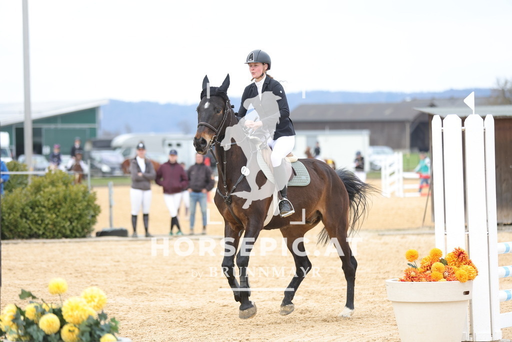 0P6A7996 | Willkommen bei Brunnmayr - Design & Fotografie – Ihrem Spezialisten für Reitturniere und Pferdeveranstaltungen in Oberösterreich, Salzburg und Bayern! Seit über 17 Jahren sind wir leidenschaftlich dabei.