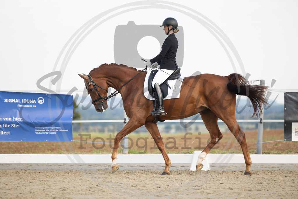 994A0367 | sabrinanicolaifotografie - Realisiert mit Pictrs.com