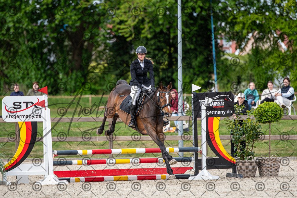 KPT_6546 | andre_photographic