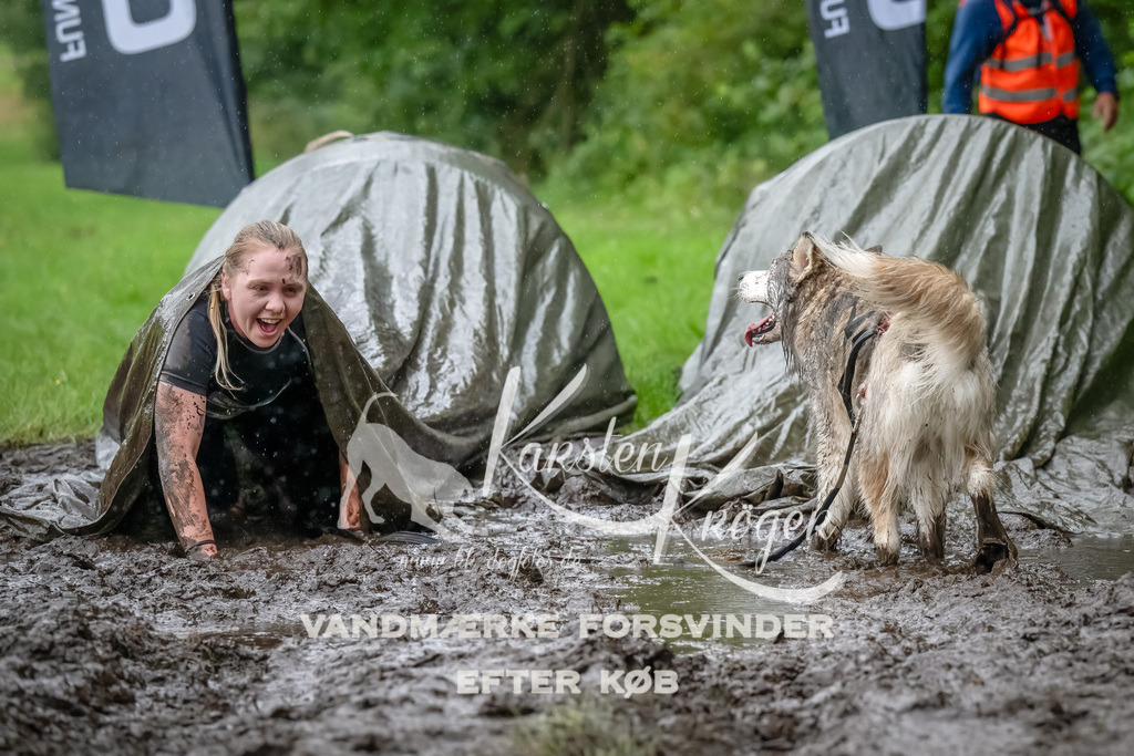0933_ZZ91290-Bearbeitet | kk-dogfotos