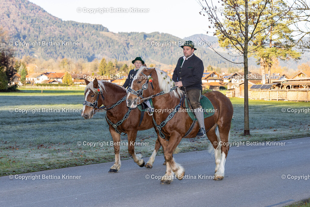 LL24-107 | foto-bettina-krinner - Realisiert mit Pictrs.com