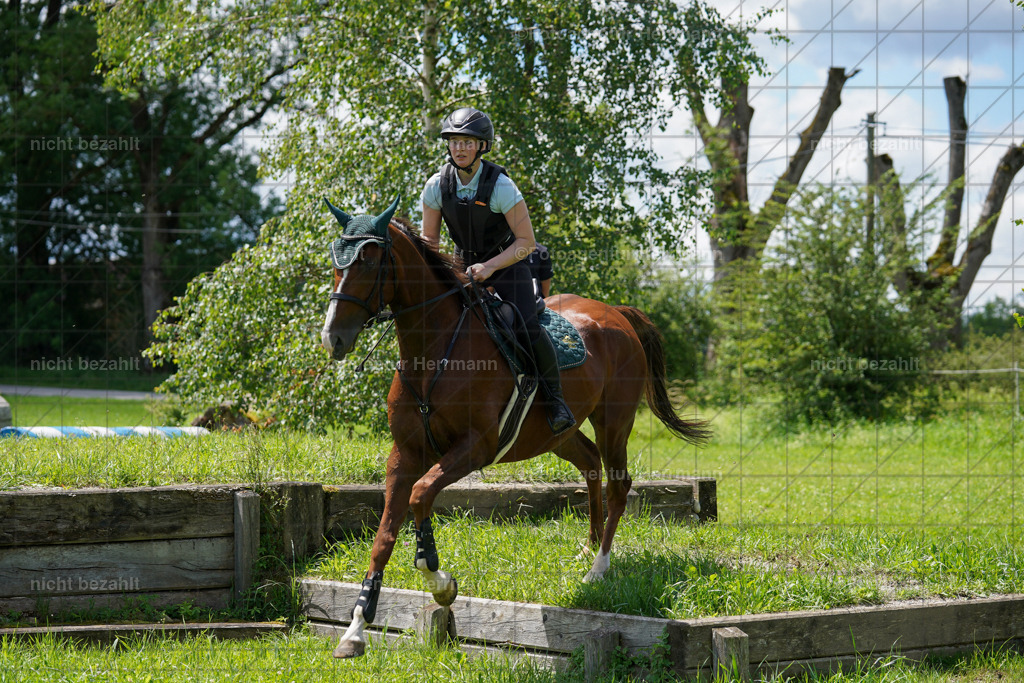 20240622-FAH06968 | Turnierfotografen Bayern, Reitsportbilder aus dem Geländekurs mit Felix Etzel auf dem Gut Waitzacker 2024