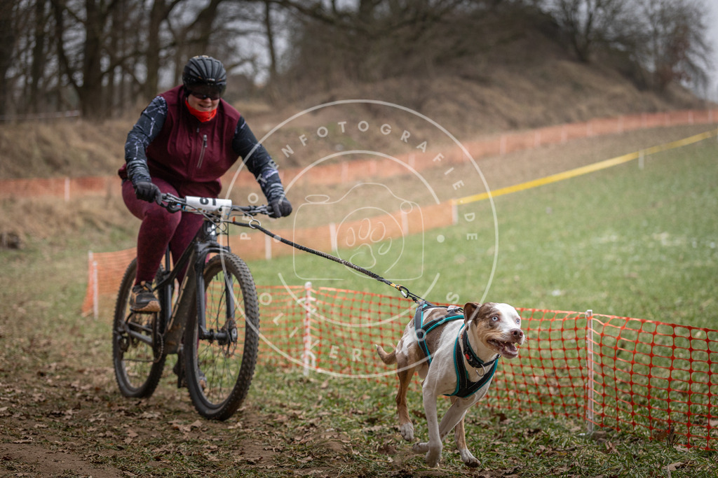 Pfotenfotografie_DV3A5587 | Hundefotografie, Tierfotograf, Pfotenfotografie, Fotoshooting Hund, Hunde Portrait, Hundesport, Hundeportraits, Heideshooting, Hunde, Sportfotograf, Hundefotograf, Turnierhundsport, THS,  - Realisiert mit Pictrs.com