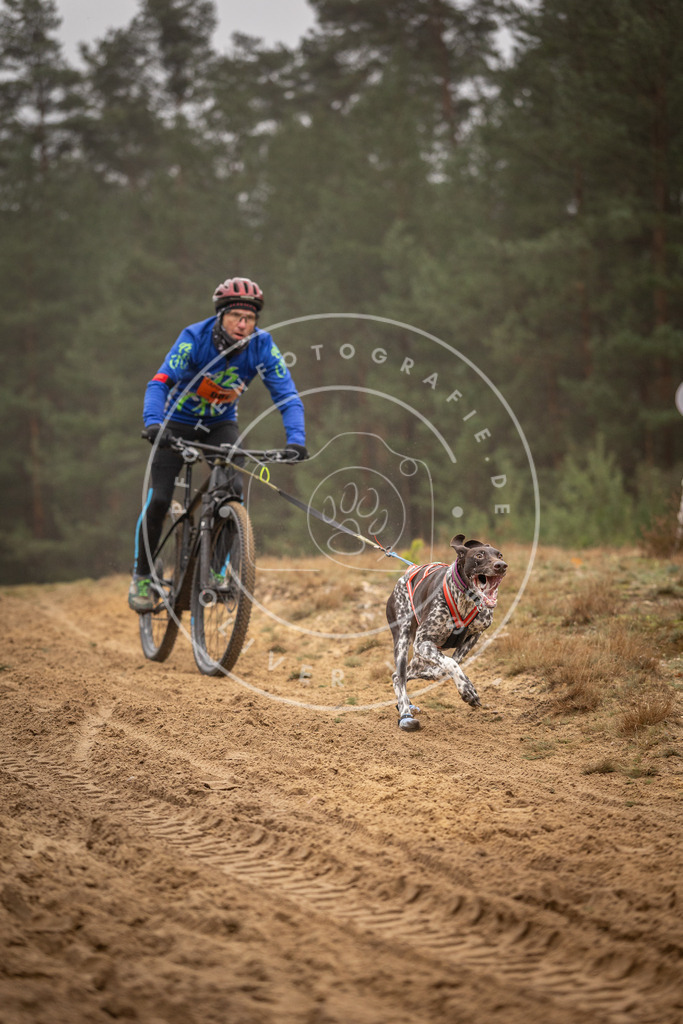 Pfotenfotografie_DV3A2867 | Hundefotografie, Tierfotograf, Pfotenfotografie, Fotoshooting Hund, Hunde Portrait, Hundesport, Hundeportraits, Heideshooting, Hunde, Sportfotograf, Hundefotograf, Turnierhundsport, THS,  - Realisiert mit Pictrs.com