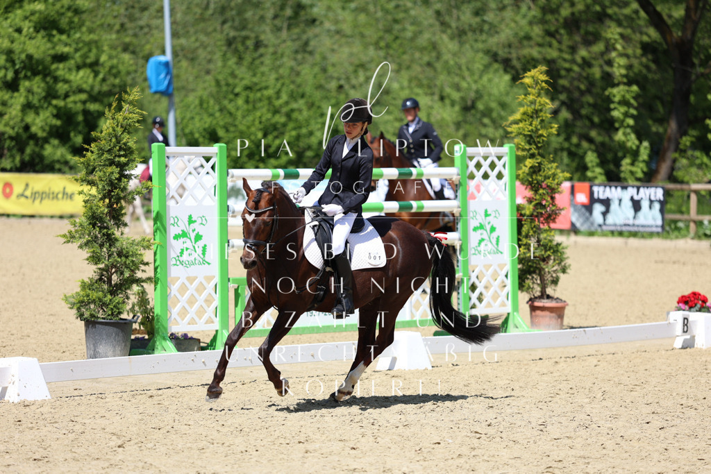 IMGS2612 | pl-fotografie