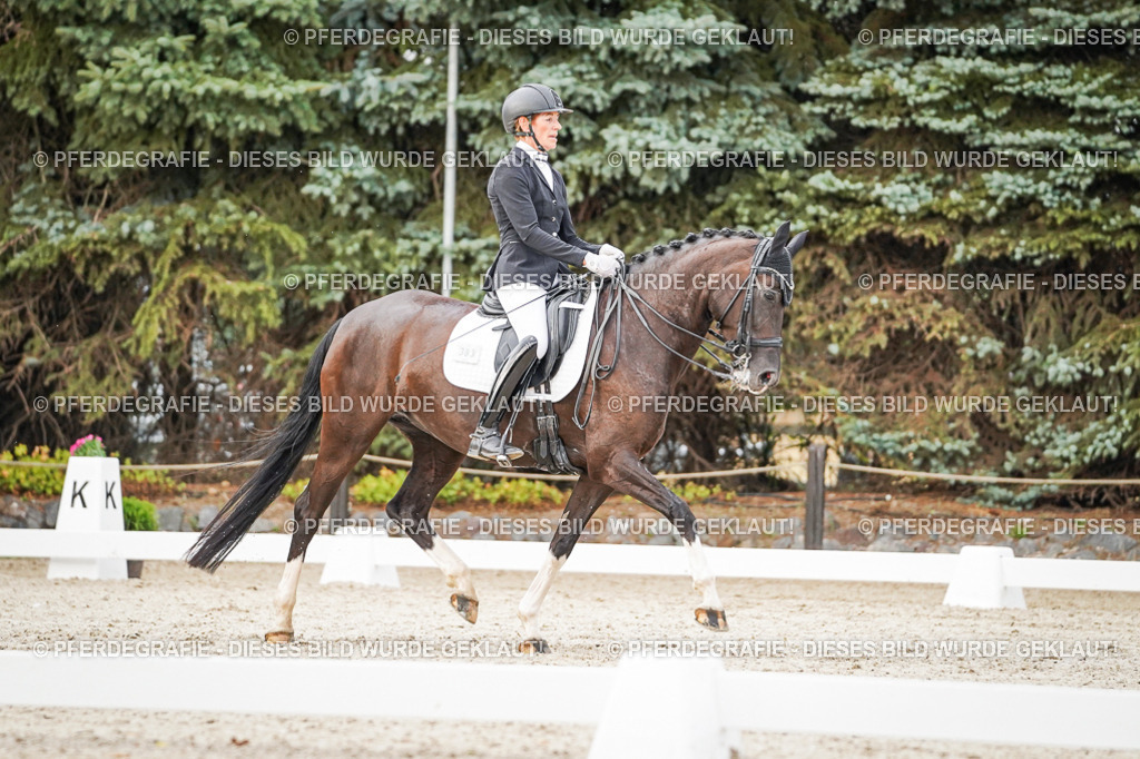 DSC08915 | Pferdegrafie