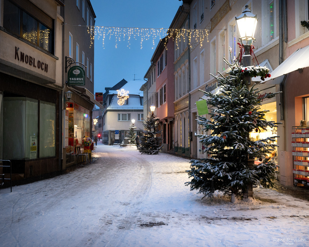 _DSC6694 | renerovisanfotoart.com