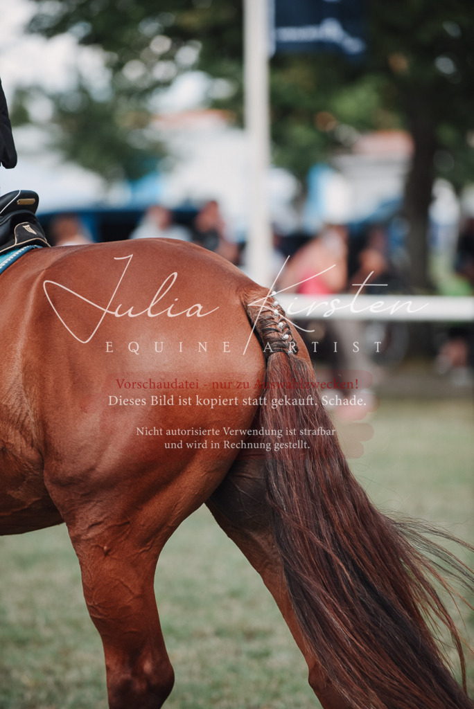 DSC_5798 | Pferde- und Turnierfotografie in Westsachsen. Pferdeportraits, Auftragszeichnungen und intuitive Kunst.