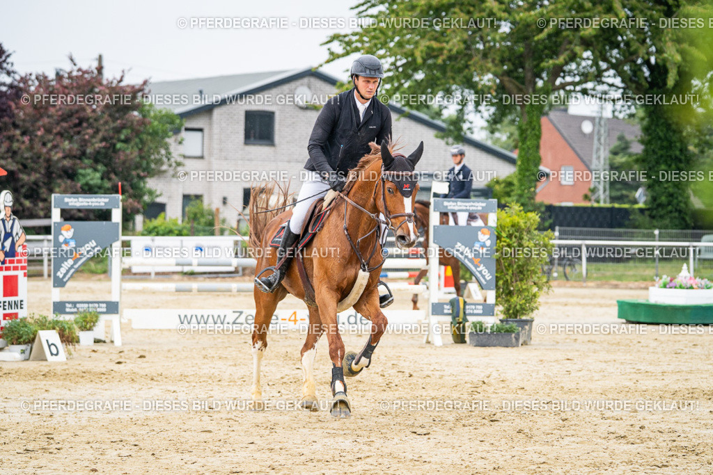 DSC00700 | Pferdegrafie