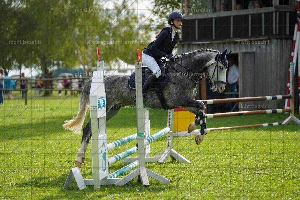 20230917-FAH09201 | Landsberg am Lech, 2023, Kaufbeuren, Kempten, Allgäu, Turnierfotografen Bayern, Fotoagentur Herrmann, Turnierbilder, Reitsport Fotos, Pferdefotograf, Augsburg, Bad Tölz, Dachau, Karlsfeld, Memmingen, Buchloe, Schwabmünchen