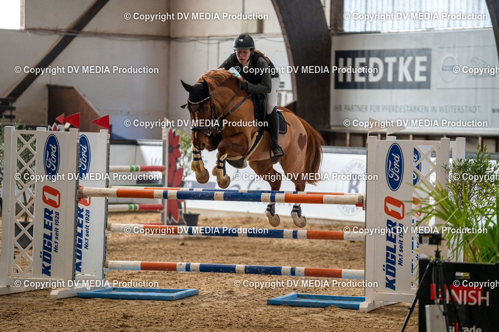 Kranichstein Tag 2-613 | dv-media-shop - Realisiert mit Pictrs.com