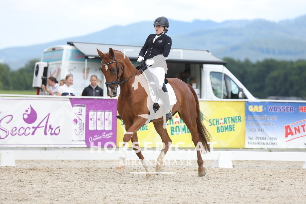 0P6A6031 | Willkommen bei Brunnmayr - Design & Fotografie – Ihrem Spezialisten für Reitturniere und Pferdeveranstaltungen in Oberösterreich, Salzburg und Bayern! Seit über 17 Jahren sind wir leidenschaftlich dabei.