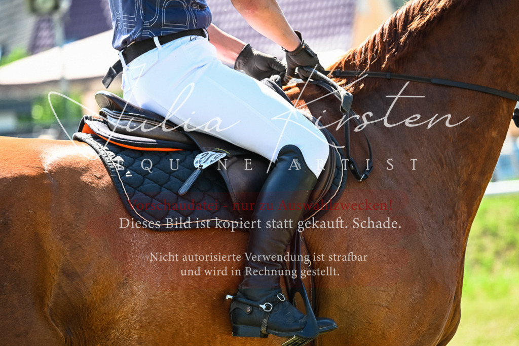 DSC_1566 | Pferde- und Turnierfotografie in Westsachsen. Pferdeportraits, Auftragszeichnungen und intuitive Kunst.