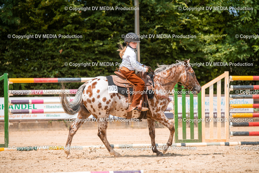 ZS2_8211 | dv-media-shop - Realisiert mit Pictrs.com