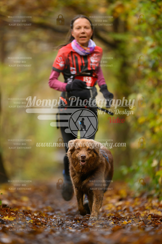 MompixPhotography_CD7S_DI_CCL-191 | mompixphotography