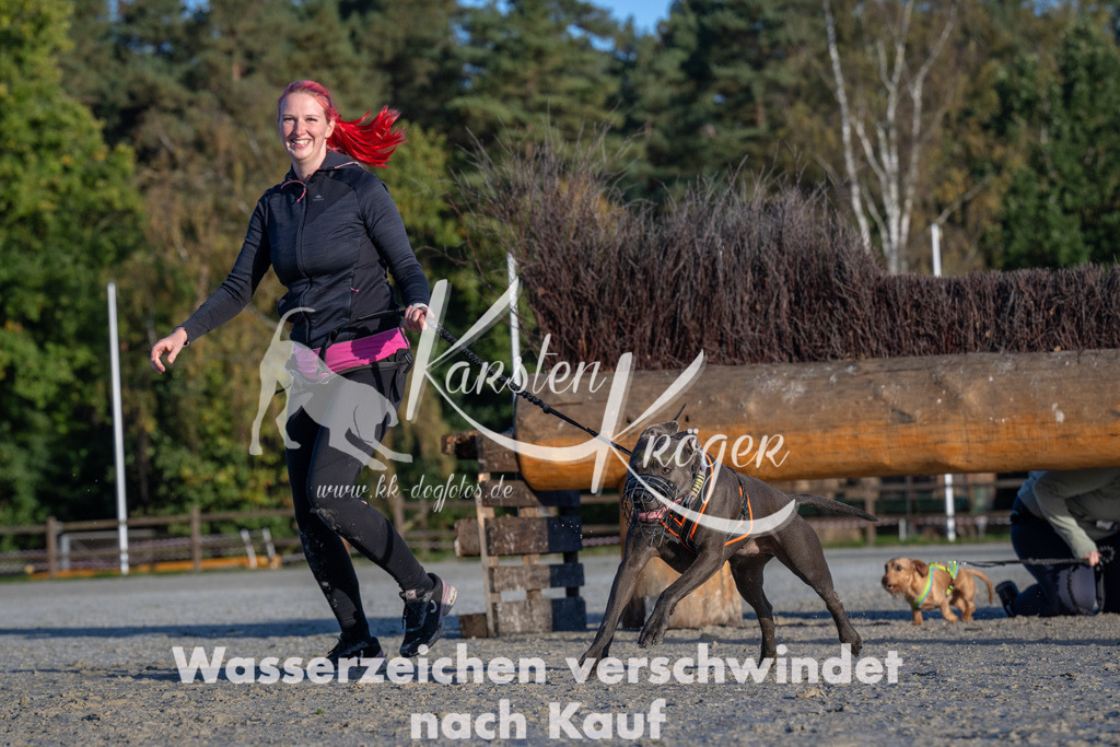 0939-94377 | kk-dogfotos